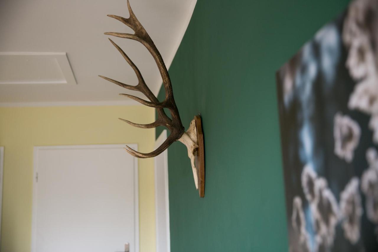 Mcdreyer Ferienwohnung Dedelstorf Exteriér fotografie