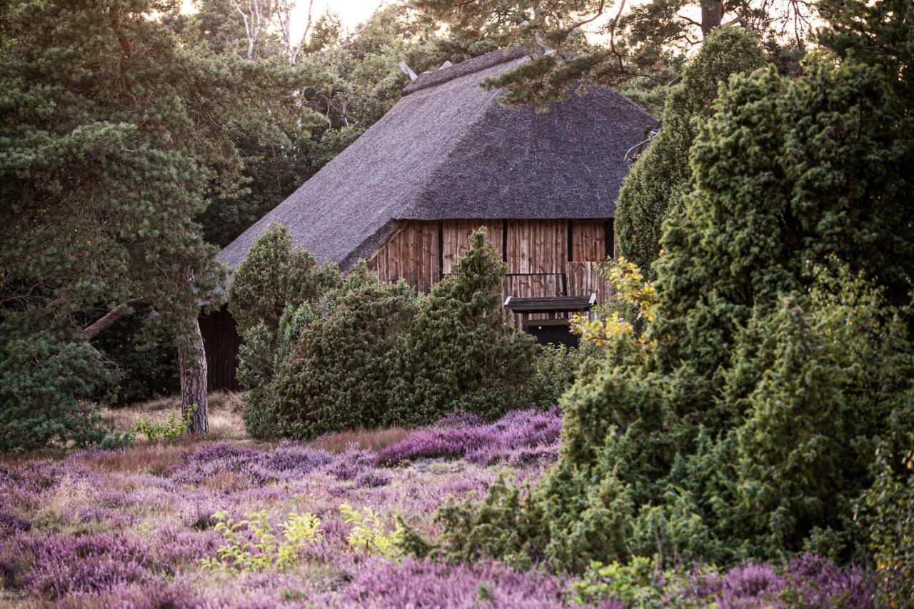 Mcdreyer Ferienwohnung Dedelstorf Exteriér fotografie